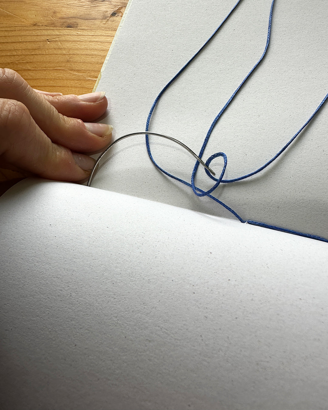 Quaderno Appunti, Formato A5, Algacarta, Balene e Delfini con elastico e busta