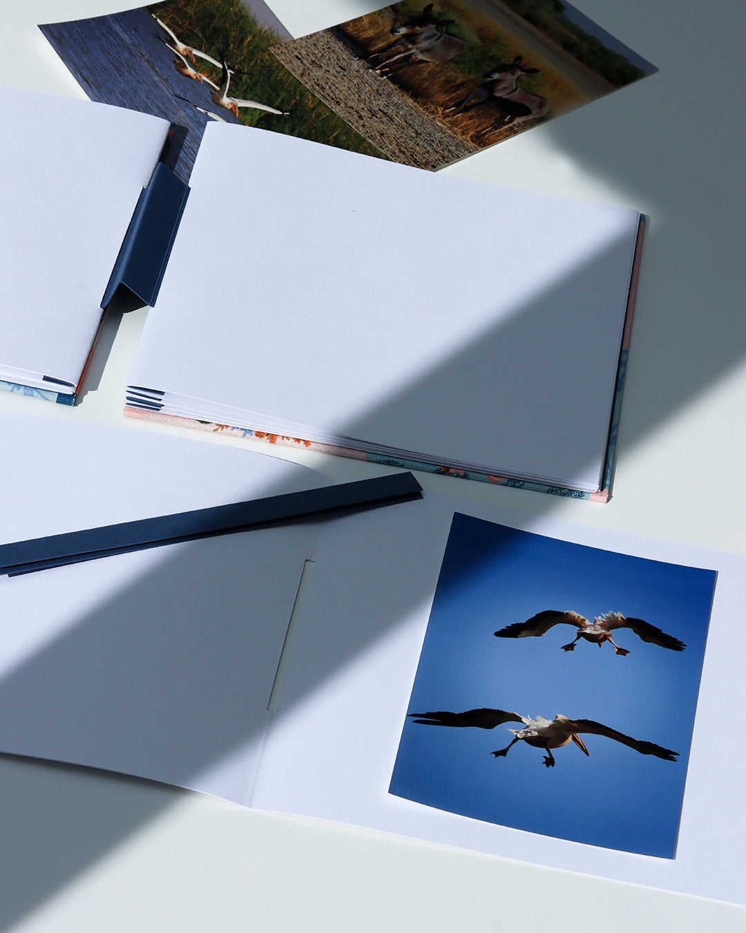 Album medio fotografia o guestbook | rilegatura australiana | ritratti di gatti