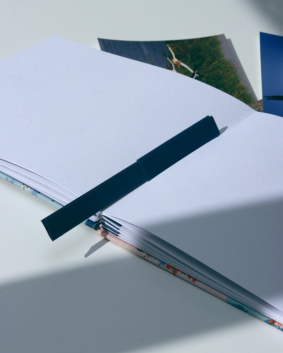 Album medio fotografia o guestbook | rilegatura australiana | ritratti di gatti
