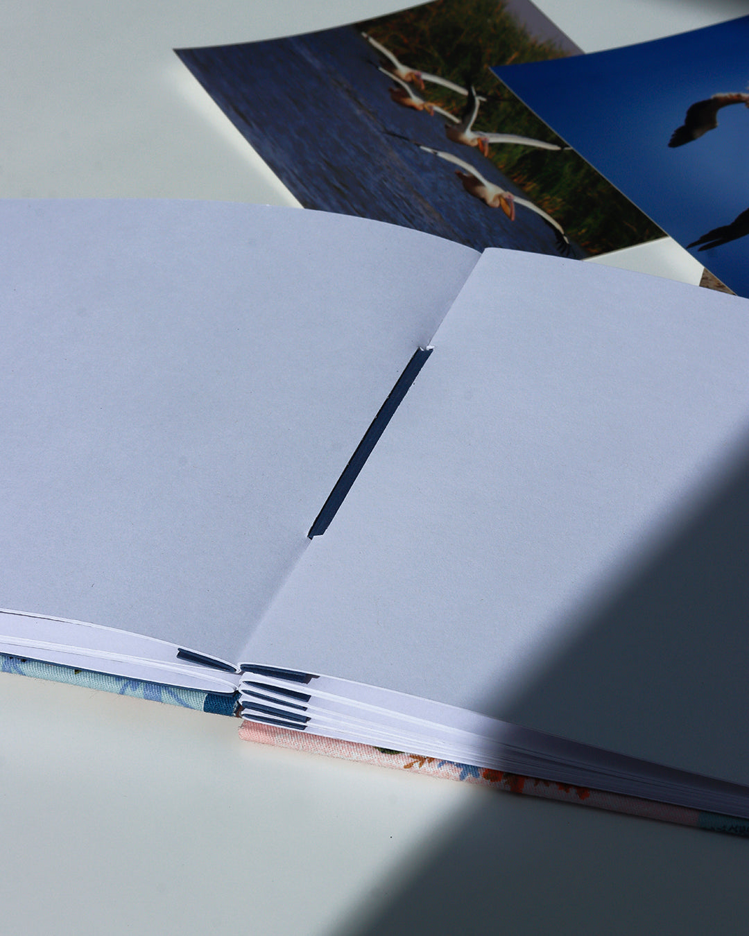 Album medio fotografia o guestbook | rilegatura australiana | ritratti di gatti