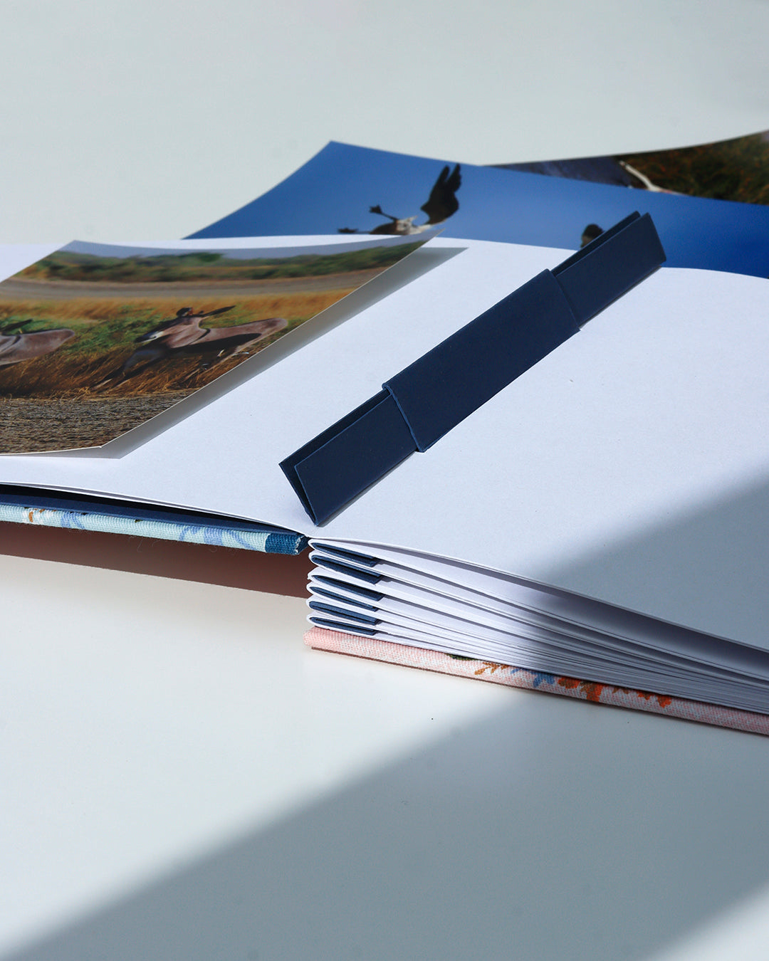 Album medio fotografia o guestbook | rilegatura australiana | ritratti di gatti