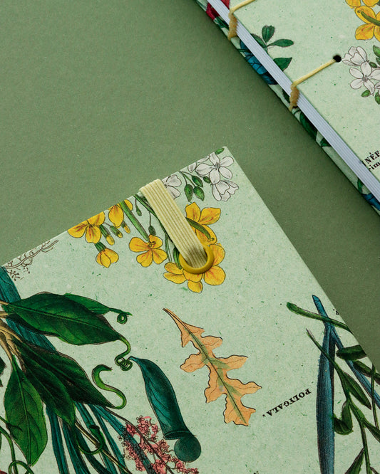 Quaderno A5 botanico Appunti erbario anatomia vegetale