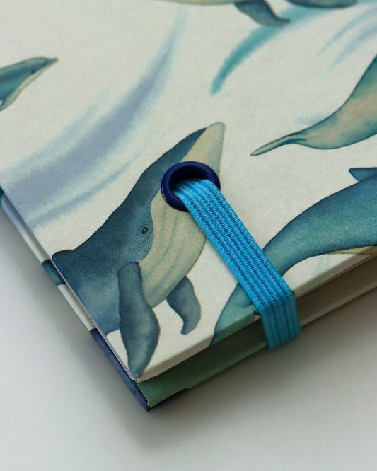 Quaderno Appunti, Formato A5, Algacarta, Balene e Delfini con elastico e busta
