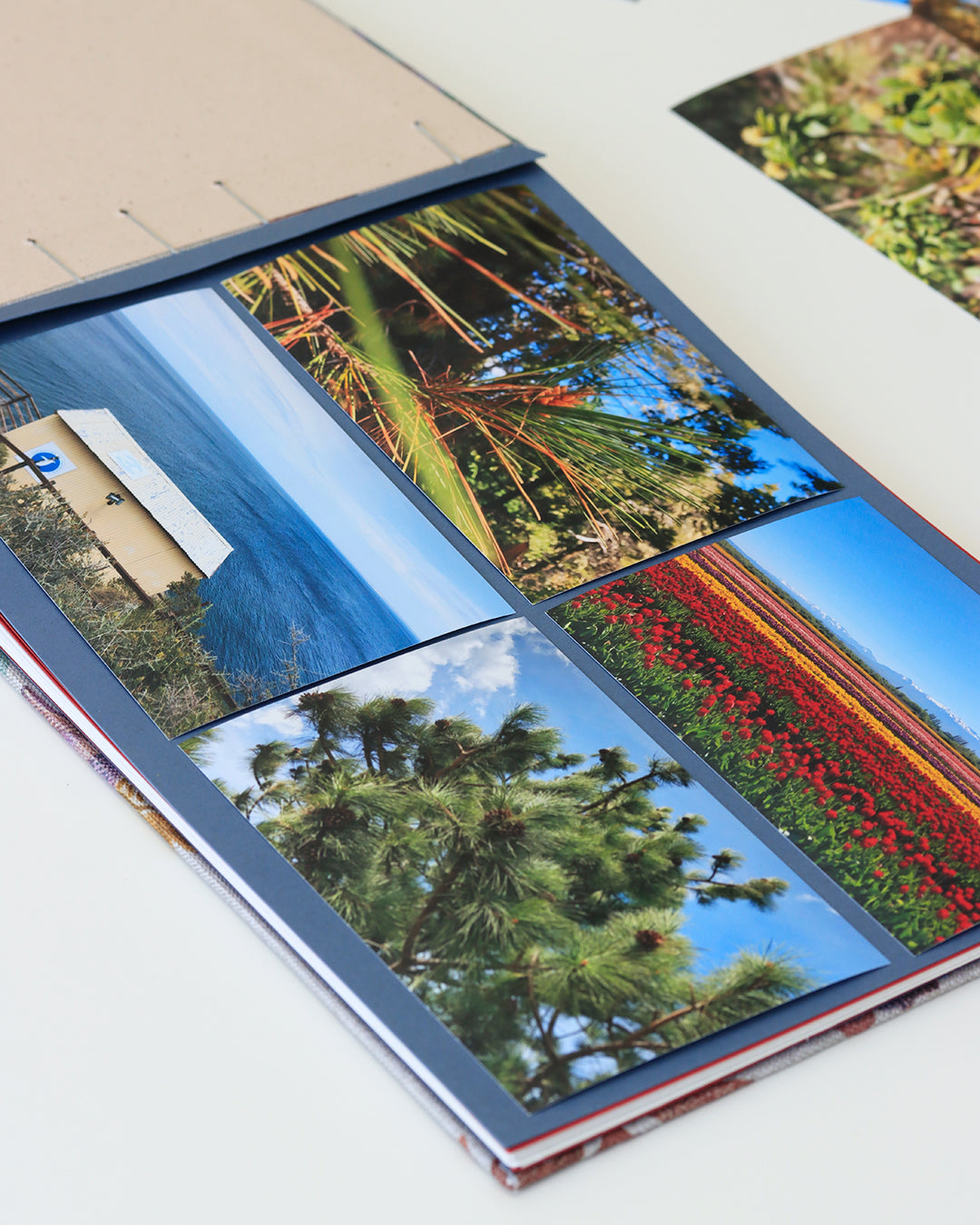 Album grande fotografia orizzontale, rilegatura copta, fiori arabeschi grigio, rosso, blu