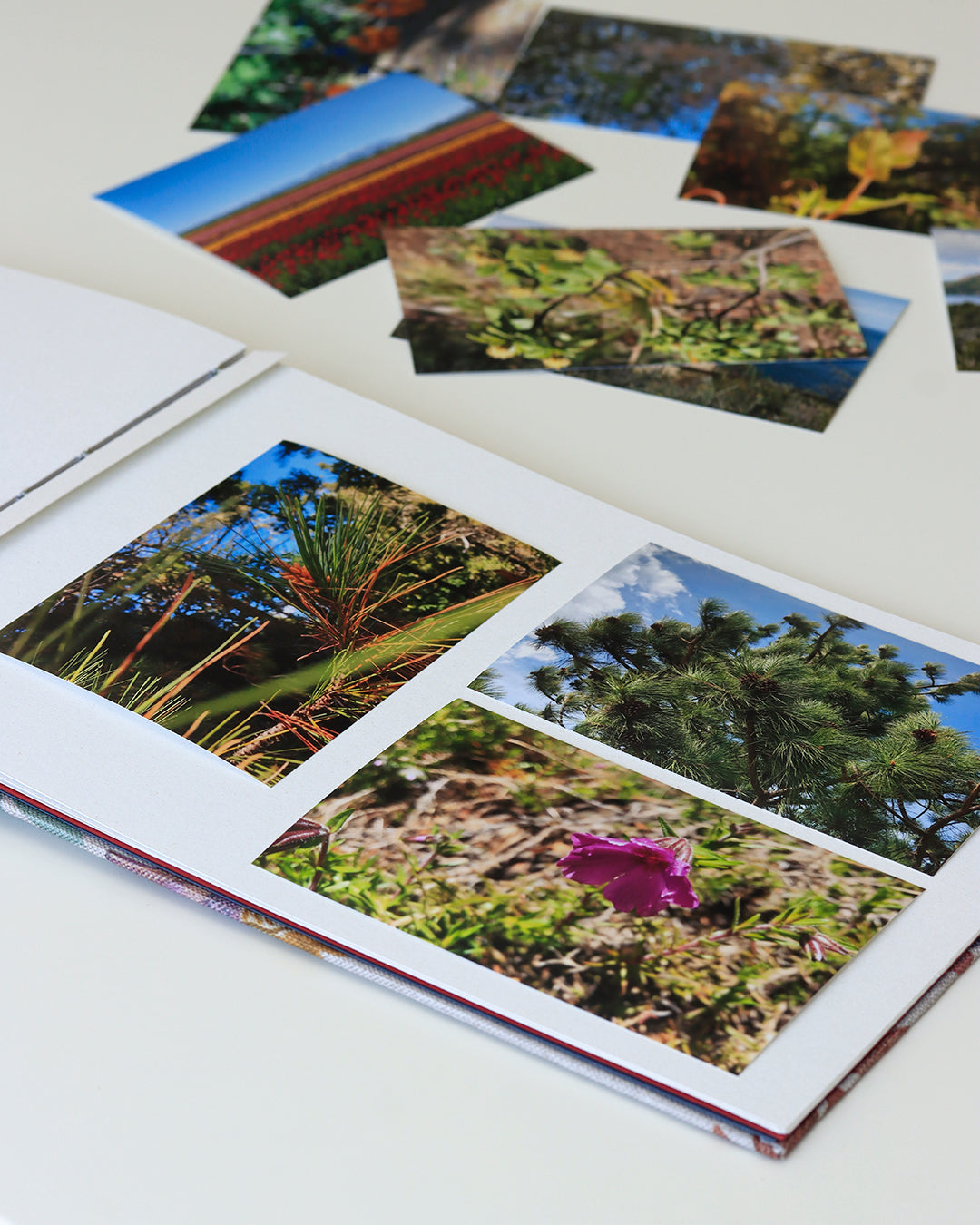 Album grande fotografia orizzontale, rilegatura copta, fiori arabeschi grigio, rosso, blu