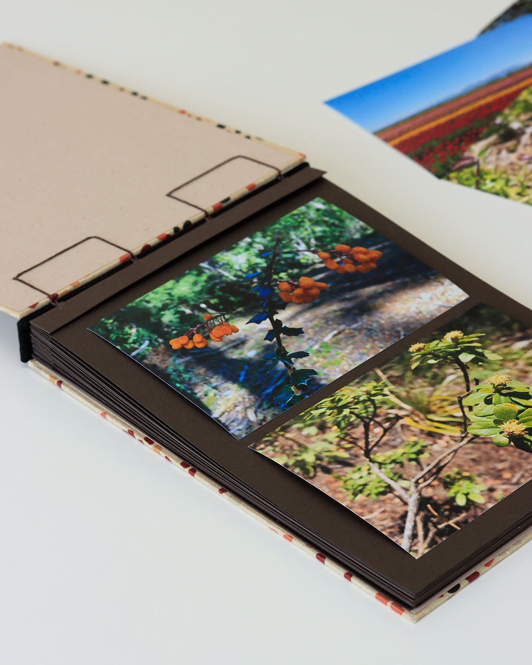 Album medio fotografia orizzontale, rilegatura crisscross, pois salmone