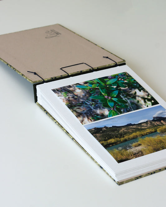 Album medio fotografia orizzontale, rilegatura crisscross, pois verde