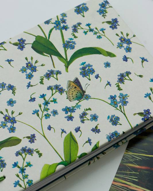 Album piccolo fotografia | formato orizzontale con veline intercalari | copertina con carta Myosotis (Non ti scordar di me)