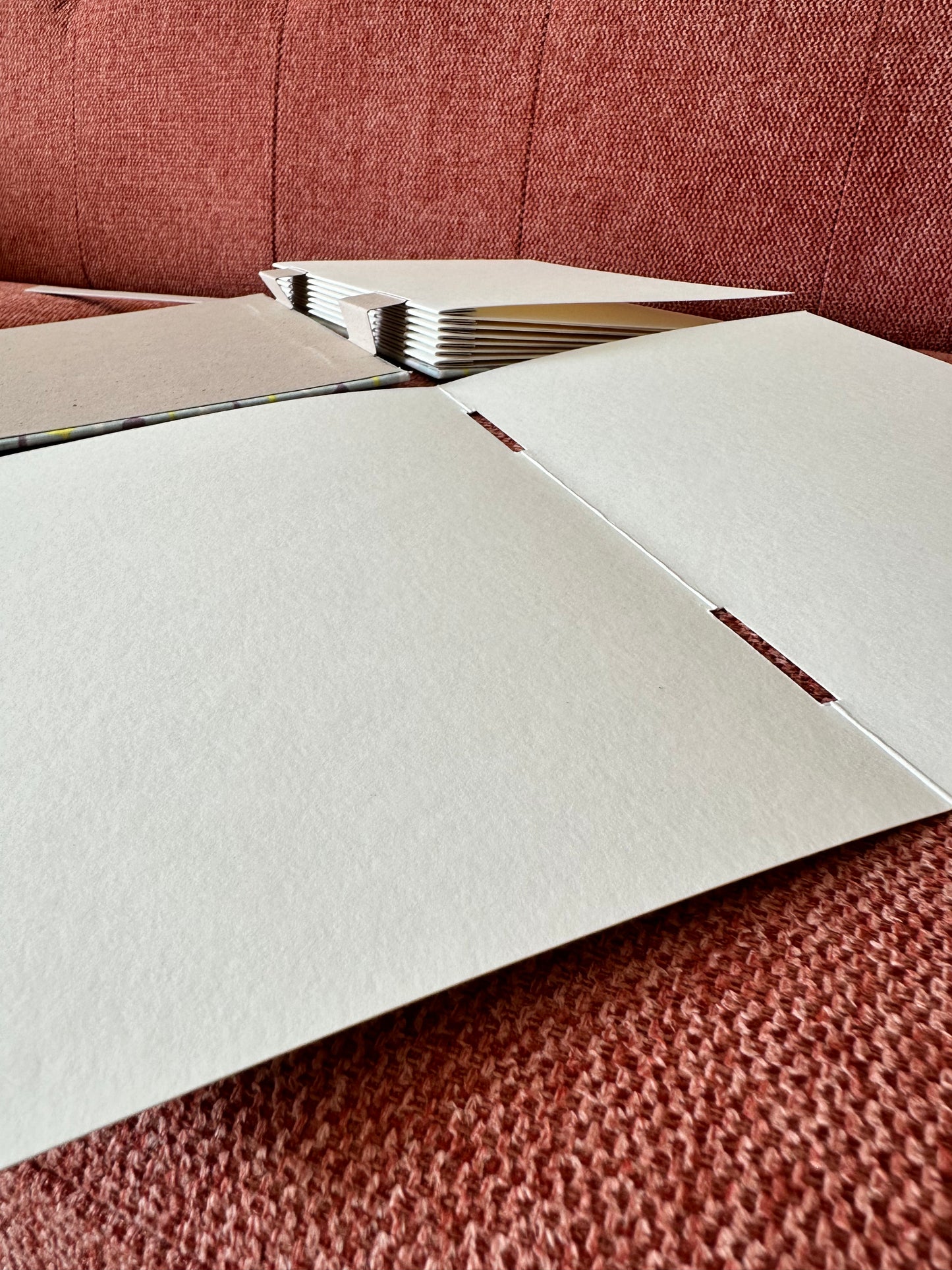 Quaderno Acquarello (Clairefontaine, 100% bambù) rizoma, punto e linea