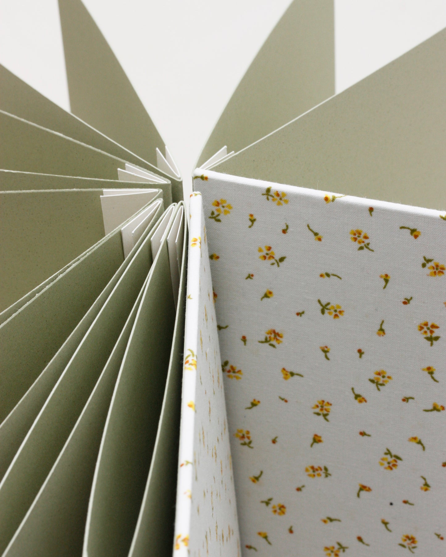 Album piccolo medio fotografia o guestbook | rilegatura australiana | (Altri) colori che fanno brillare il bianco