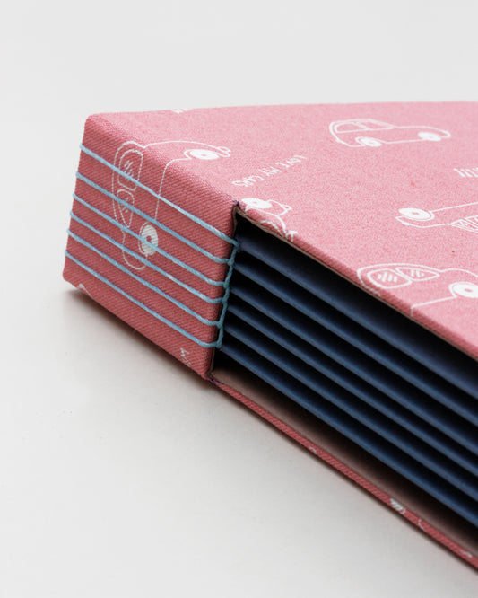 Album primavera macchinine rosa e blu