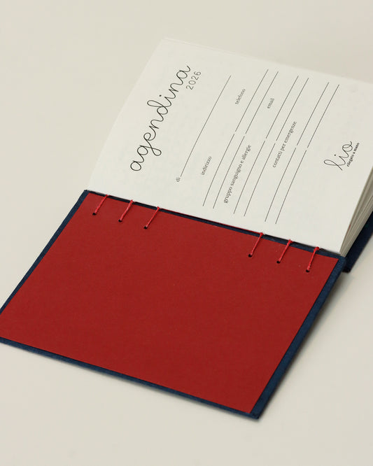 Agendina 2026 blu con pois ricamati colorati (mix copta-francese con elastico)