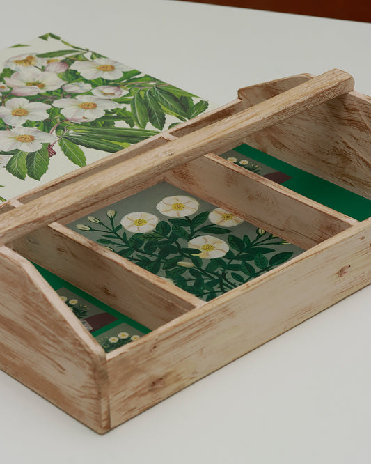 Quaderno grande Acquarello (Hahnemühle 100% cotone, cold pressed) Elleboro