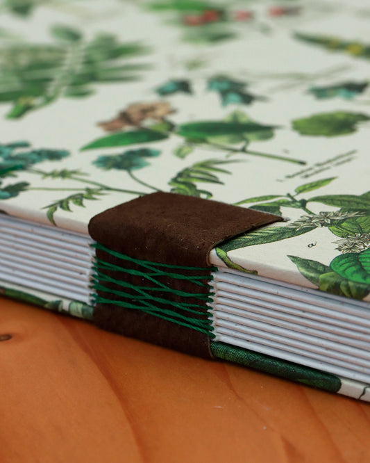 Quaderno da scrivania A4 con illustrazioni botaniche e carta di birra Weiss - verde