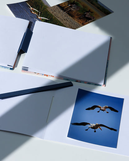 Album medio fotografia o guestbook | rilegatura australiana | ritratti di gatti
