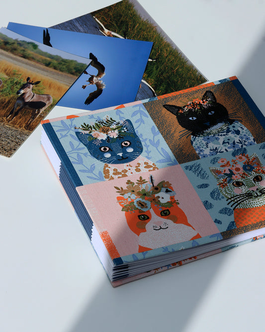 Album medio fotografia o guestbook | rilegatura australiana | ritratti di gatti