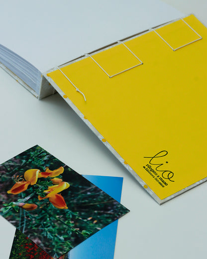 Album medio fotografia | formato quadrato con veline intercalari | copertina in carta di lokta con margherite