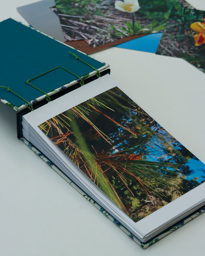 Album piccolo fotografia | formato orizzontale con veline intercalari | copertina con carta Myosotis (Non ti scordar di me)