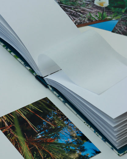 Album piccolo fotografia | formato orizzontale con veline intercalari | copertina con carta Myosotis (Non ti scordar di me)