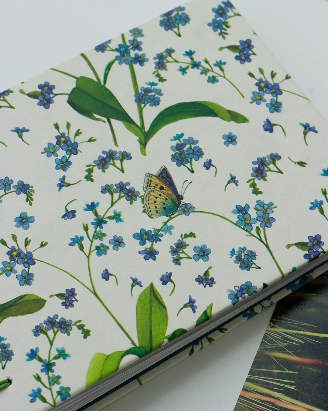 Album piccolo fotografia | formato orizzontale con veline intercalari | copertina con carta Myosotis (Non ti scordar di me)