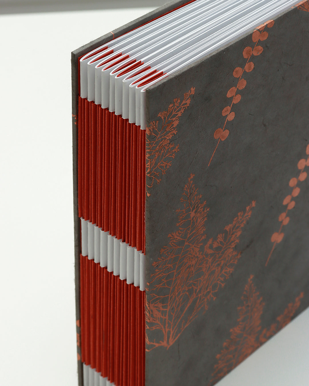 Album medio fotografia o guestbook | formato quadrato con pagine sfilabili | copertina in carta di lokta con stampa botanica rame su grigio