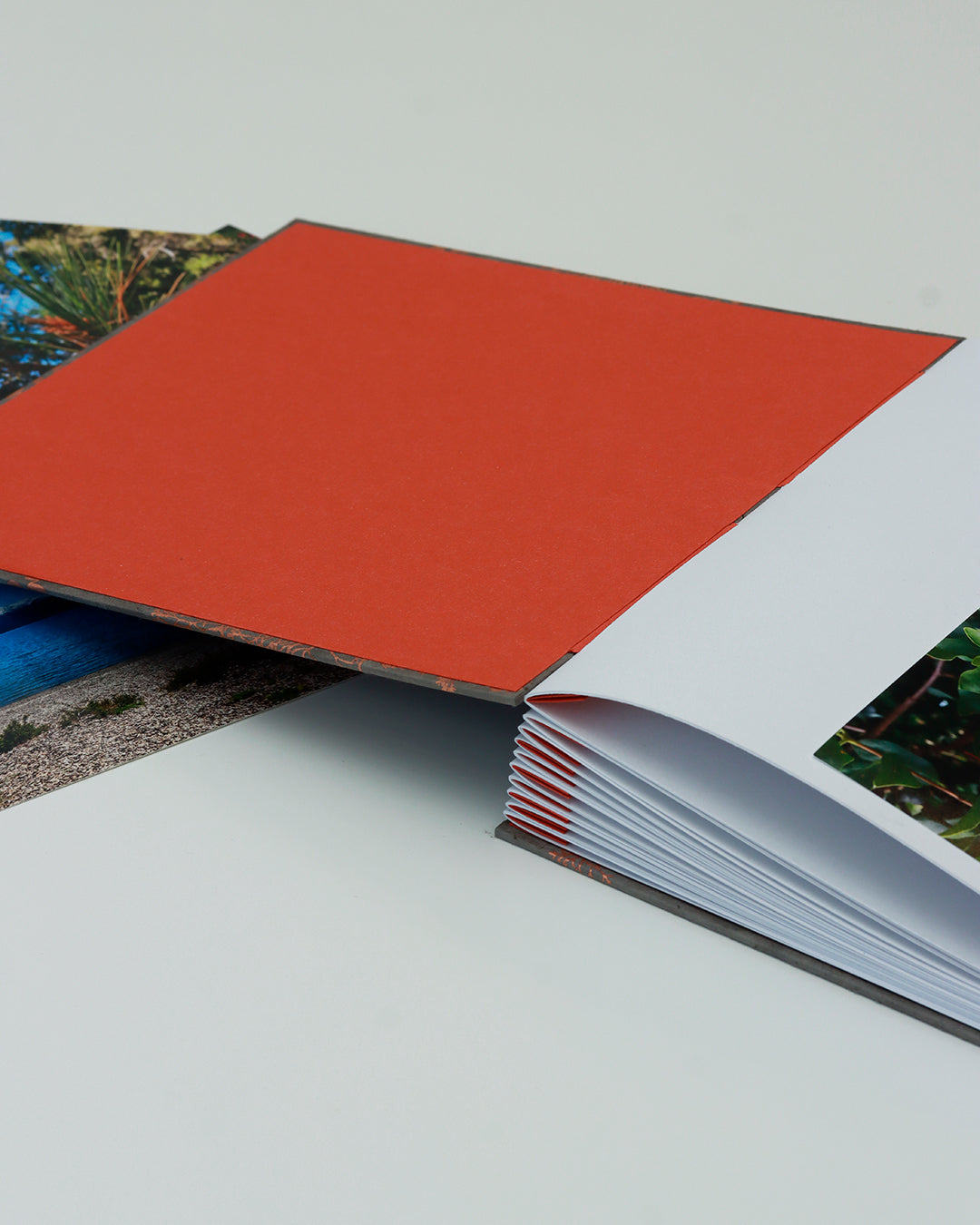 Album medio fotografia o guestbook | formato quadrato con pagine sfilabili | copertina in carta di lokta con stampa botanica rame su grigio