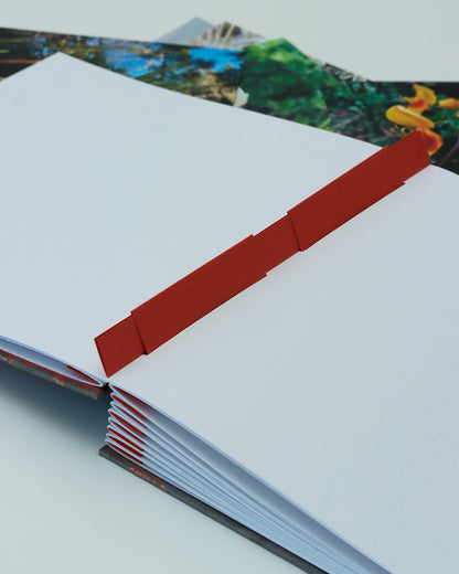 Album medio fotografia o guestbook | formato quadrato con pagine sfilabili | copertina in carta di lokta con stampa botanica rame su grigio