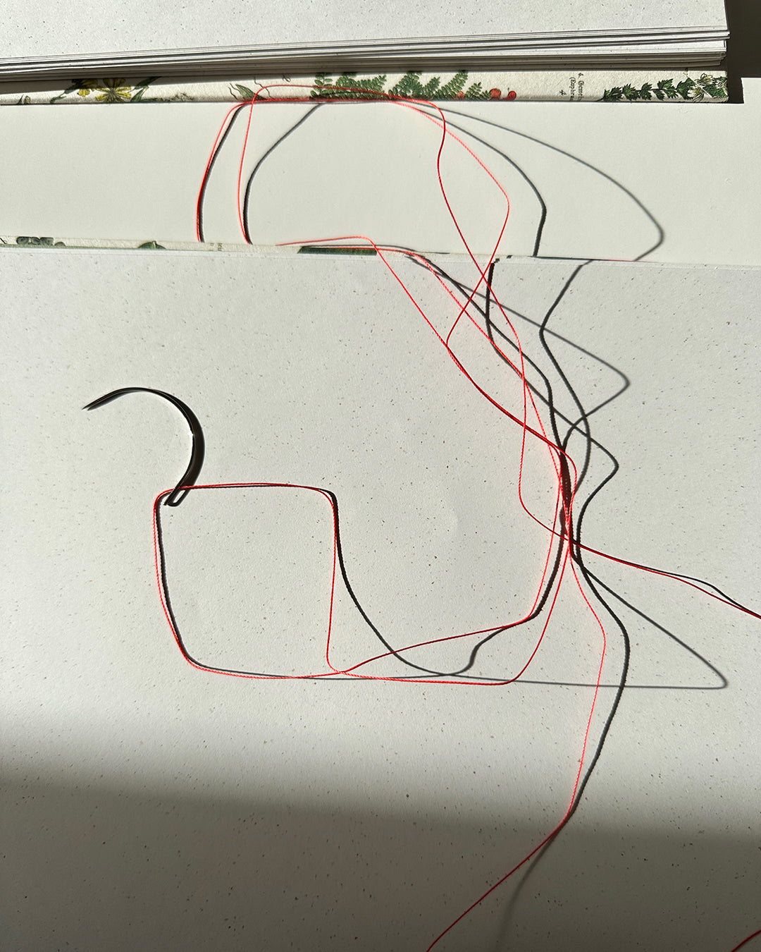 Quaderno da scrivania A4 con illustrazioni botaniche e carta di birra Weiss - rosso