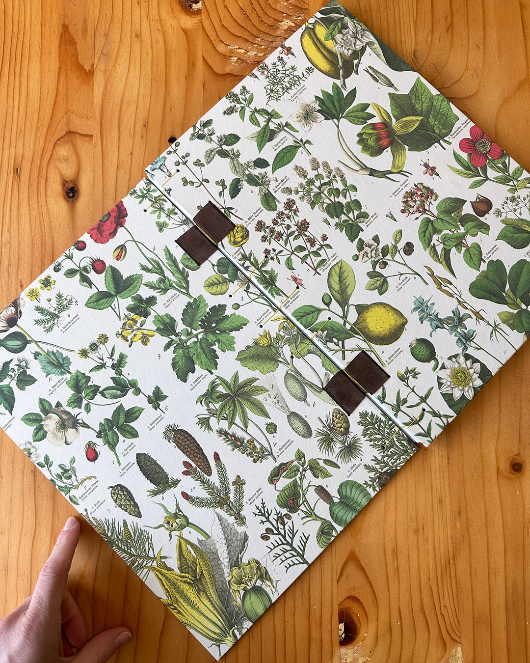 Quaderno da scrivania A4 con illustrazioni botaniche e carta di birra Weiss - giallo