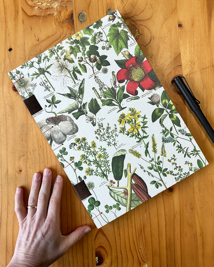 Quaderno da scrivania A4 con illustrazioni botaniche e carta di birra Weiss - rosso