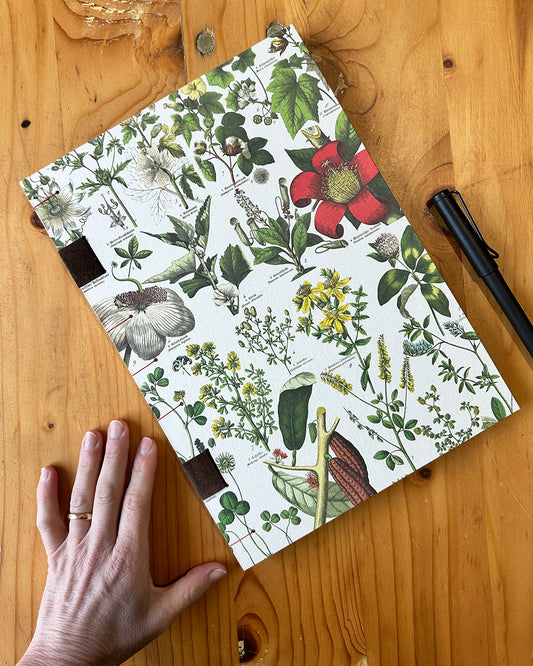 Quaderno da scrivania A4 con illustrazioni botaniche e carta di birra Weiss - rosso