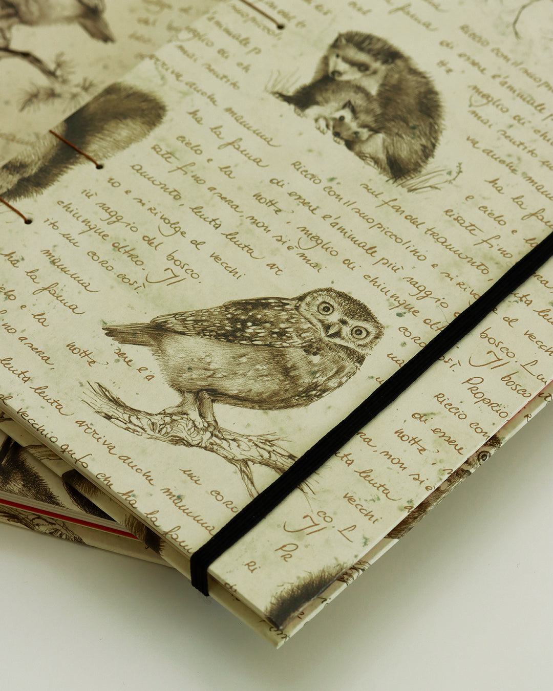 Quaderno Appunti, Formato A5, Algacarta, animali del bosco (con elastico e busta)