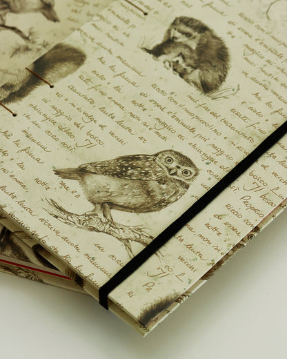 Quaderno Appunti, Formato A5, Algacarta, animali del bosco (con elastico e busta)