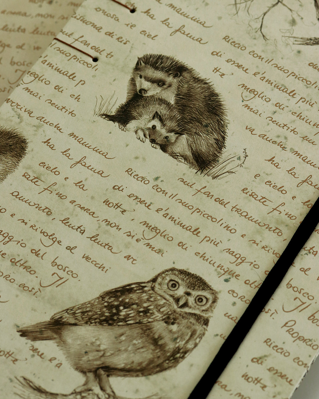 Quaderno Appunti, Formato A5, Algacarta, animali del bosco (con elastico e busta)