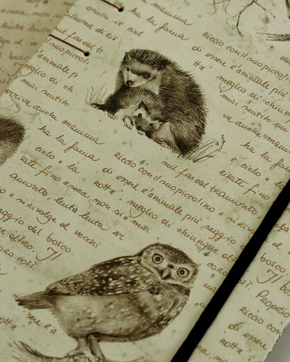 Quaderno Appunti, Formato A5, Algacarta, animali del bosco (con elastico e busta)