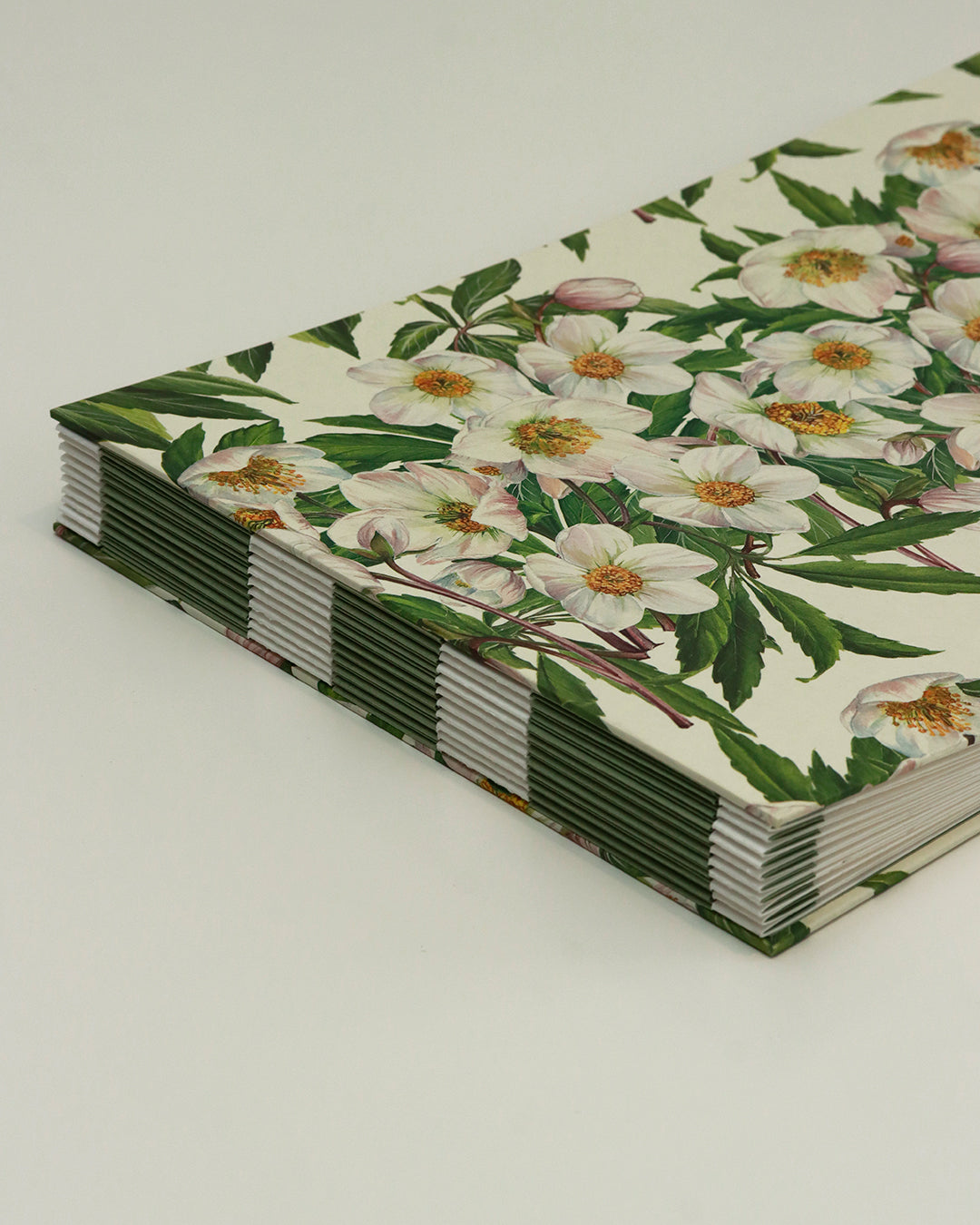 Quaderno grande Acquarello (Hahnemühle 100% cotone, cold pressed) Elleboro