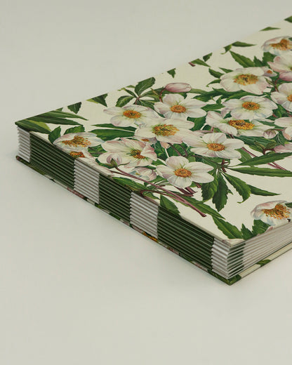 Quaderno grande Acquarello (Hahnemühle 100% cotone, cold pressed) Elleboro