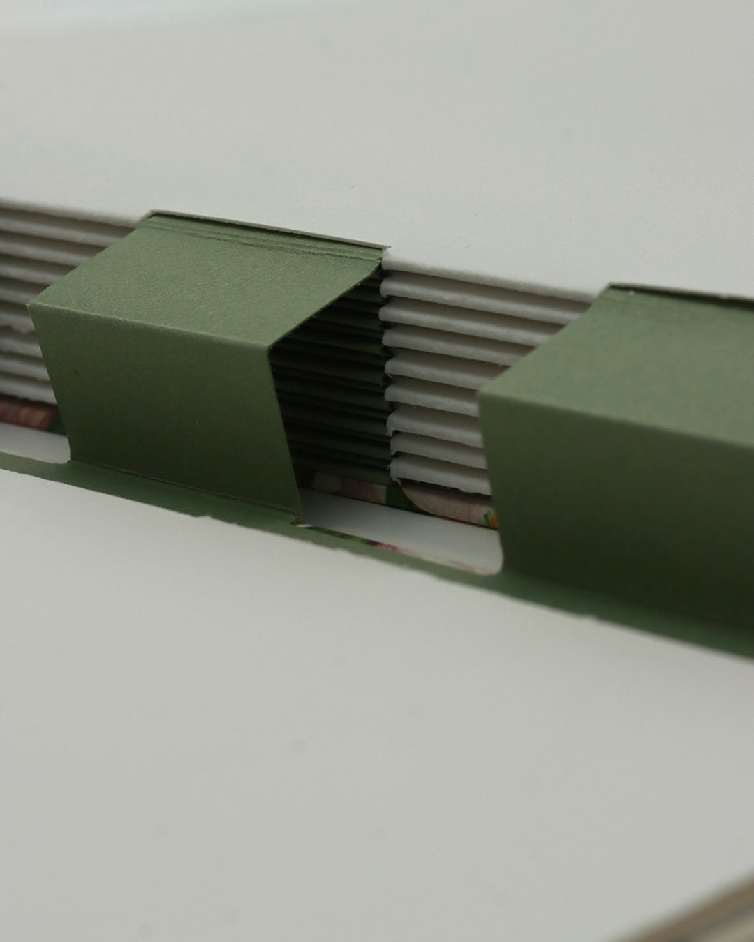 Quaderno grande Acquarello (Hahnemühle 100% cotone, cold pressed) Elleboro