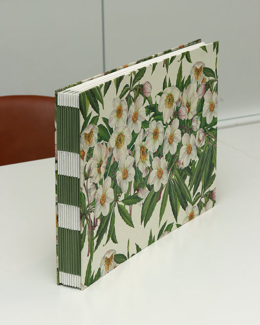 Quaderno grande Acquarello (Hahnemühle 100% cotone, cold pressed) Elleboro