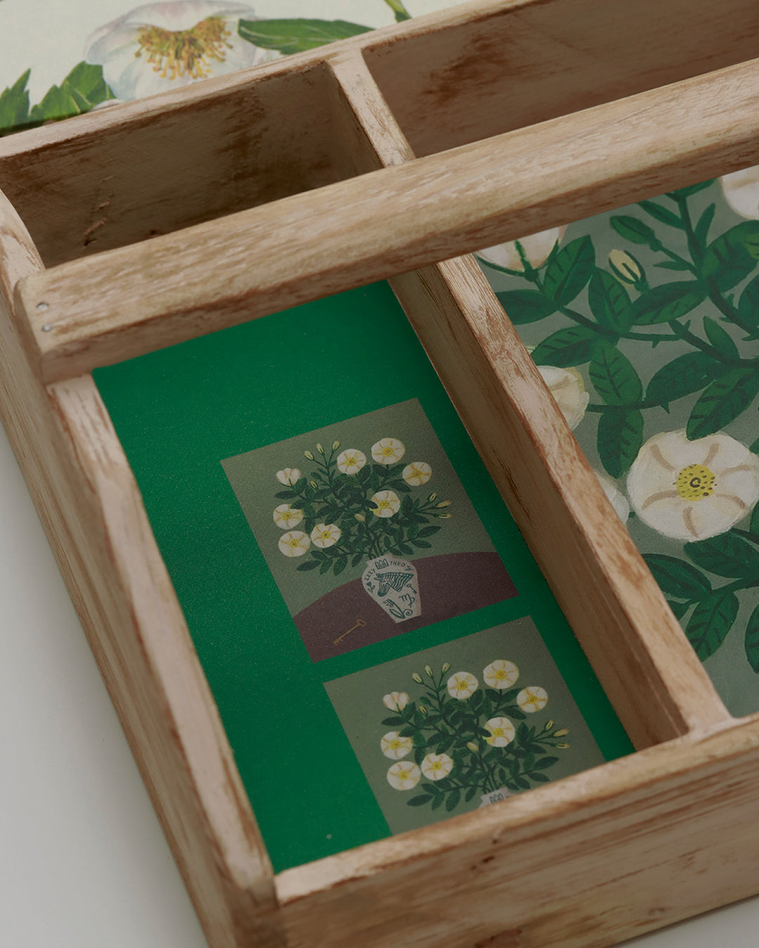 Quaderno grande Acquarello (Hahnemühle 100% cotone, cold pressed) Elleboro