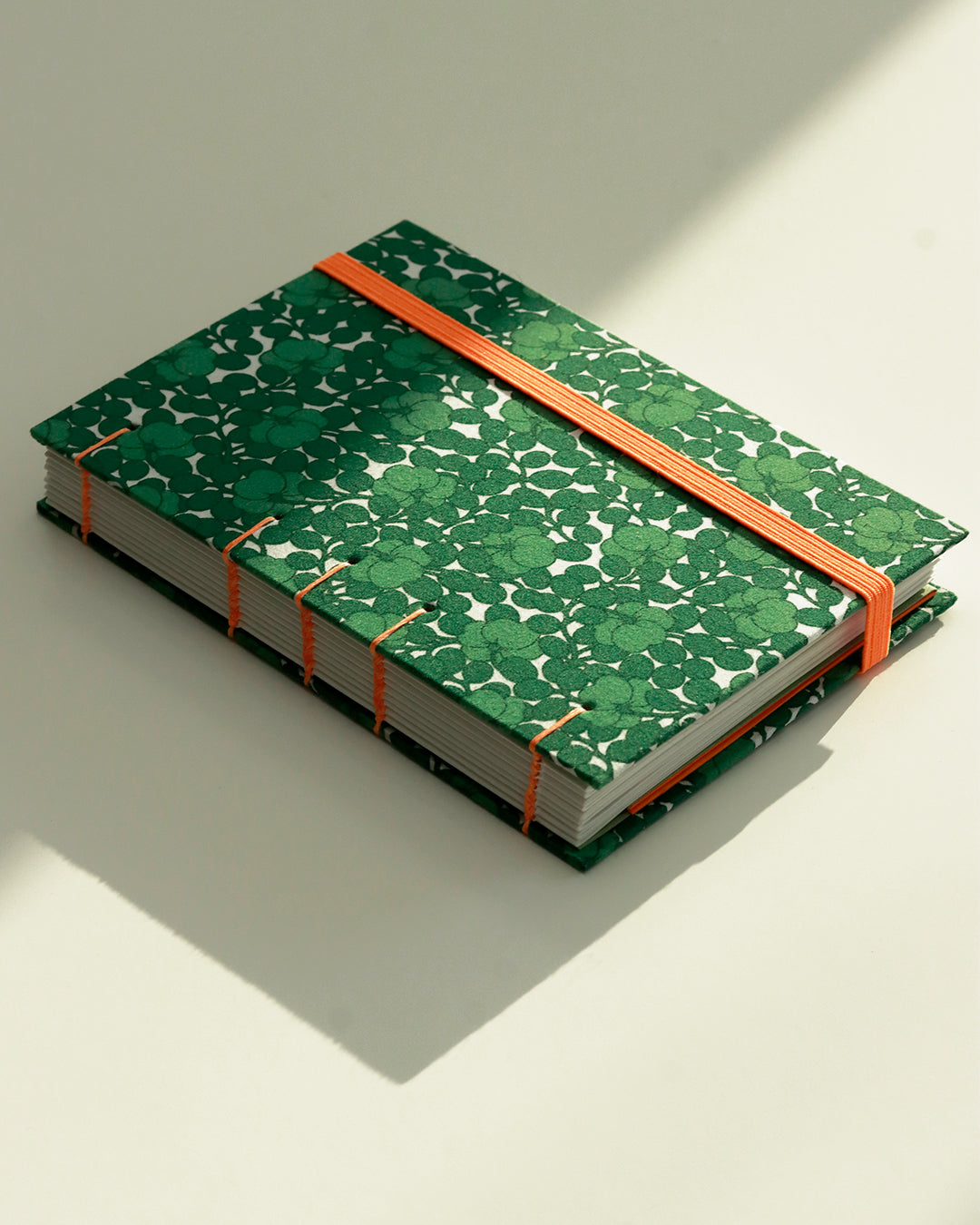 Agenda delle ricorrenze zucche (copta con elastico e busta)