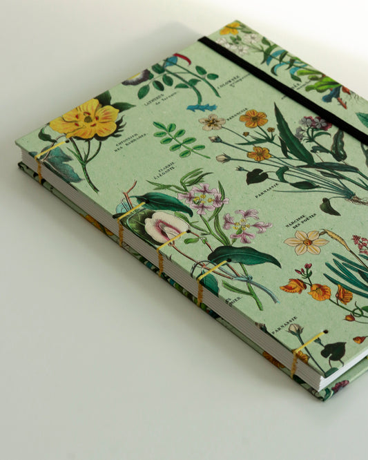 Quaderno Appunti, formato A5, carta di bambù e cotone, erbario anatomia vegetale (elastico e busta)