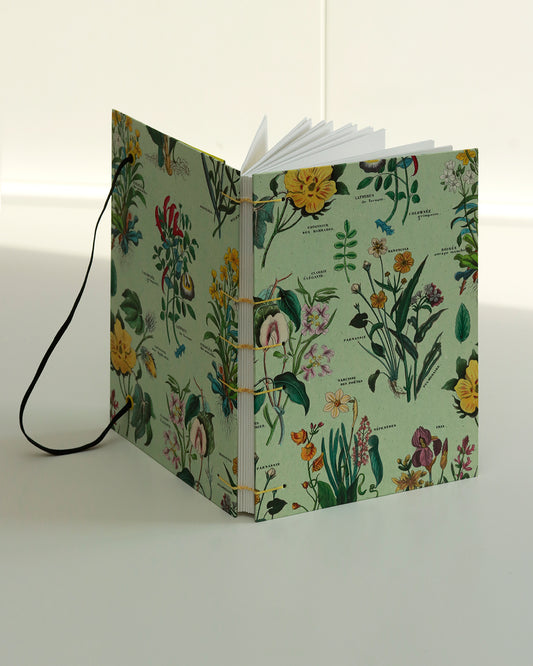 Quaderno Appunti, formato A5, carta di bambù e cotone, erbario anatomia vegetale (elastico e busta)