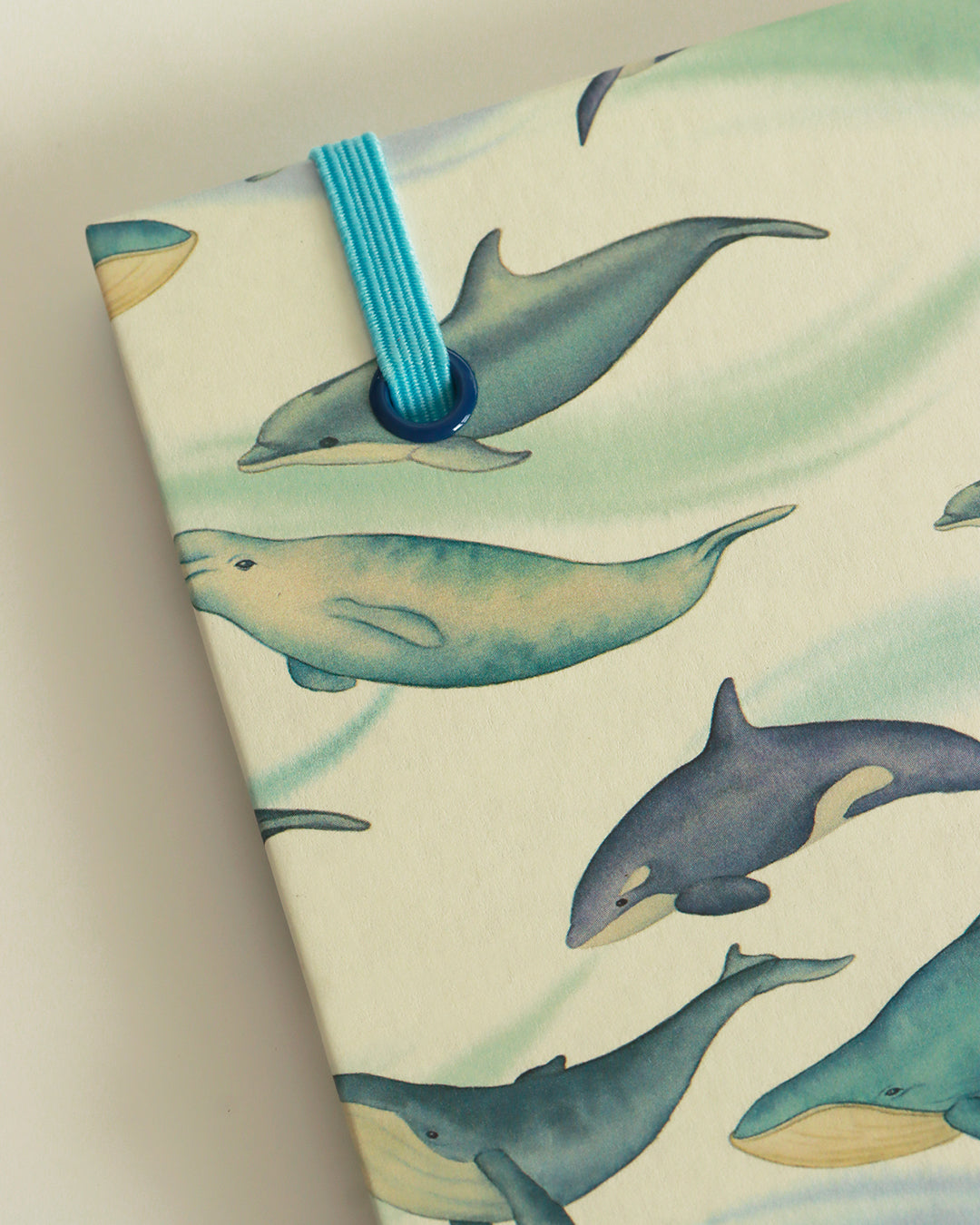Quaderno Appunti, formato A5, carta di bambù e cotone, balene-delfini-orche (elastico e busta)