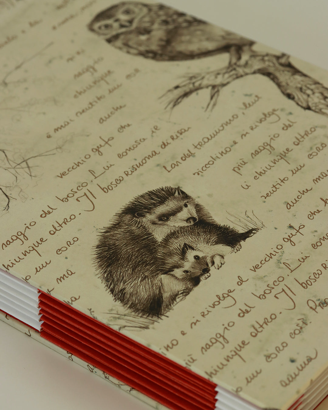 Quaderno di disegno tecnico per vision board, mappe concettuali e progetti creativi - copertina animali del bosco