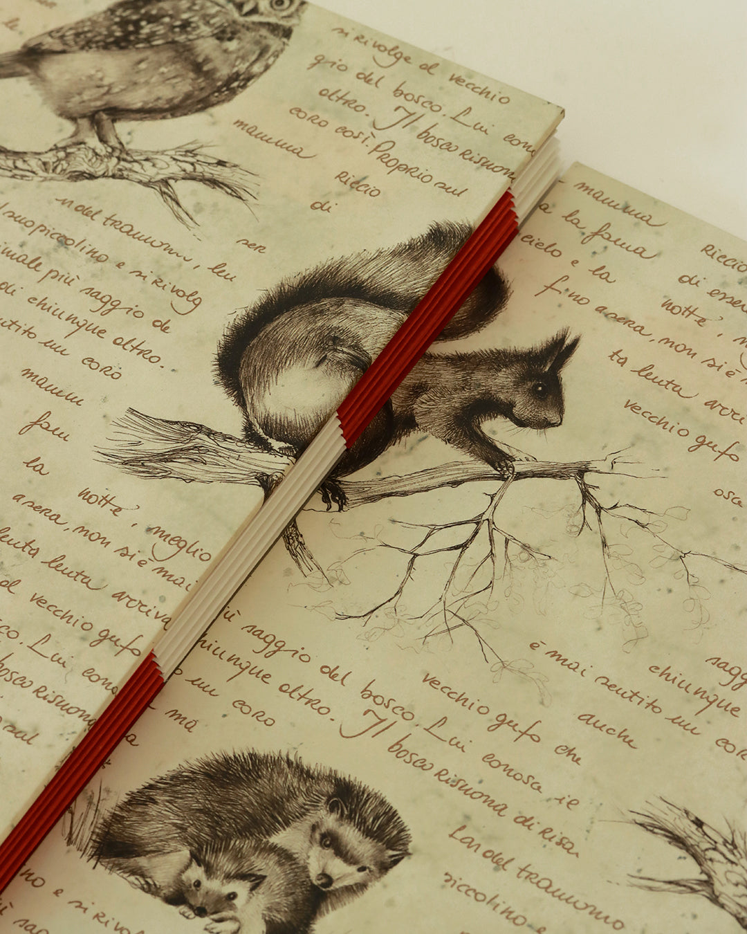 Quaderno di disegno tecnico per vision board, mappe concettuali e progetti creativi - copertina animali del bosco