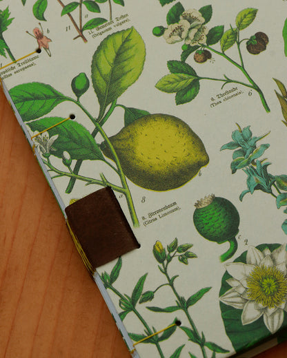 Quaderno da scrivania A4 con illustrazioni botaniche e carta di birra Weiss - giallo