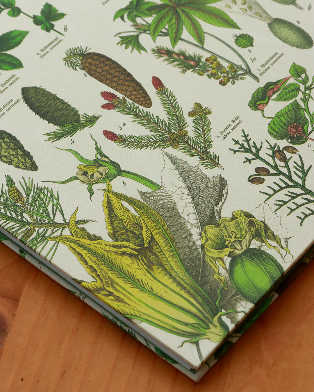 Quaderno da scrivania A4 con illustrazioni botaniche e carta di birra Weiss - giallo