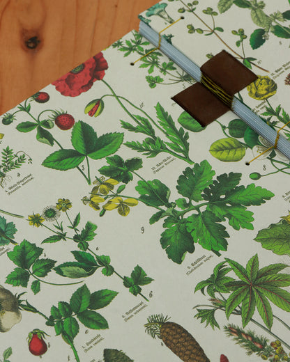 Quaderno da scrivania A4 con illustrazioni botaniche e carta di birra Weiss - giallo