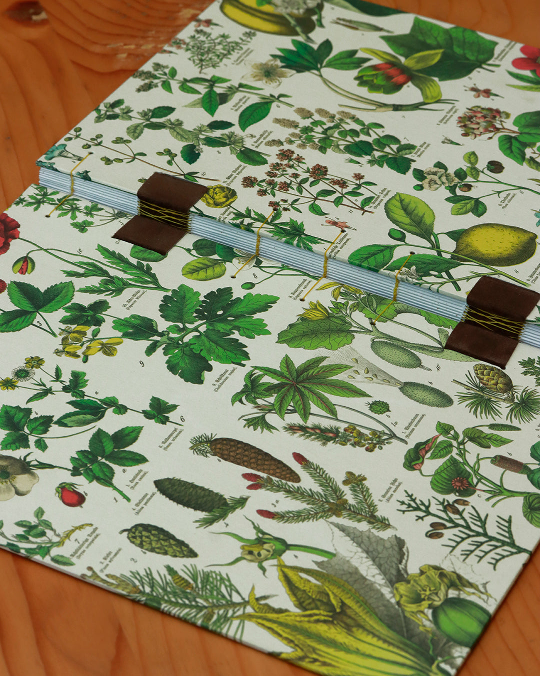 Quaderno da scrivania A4 con illustrazioni botaniche e carta di birra Weiss - giallo